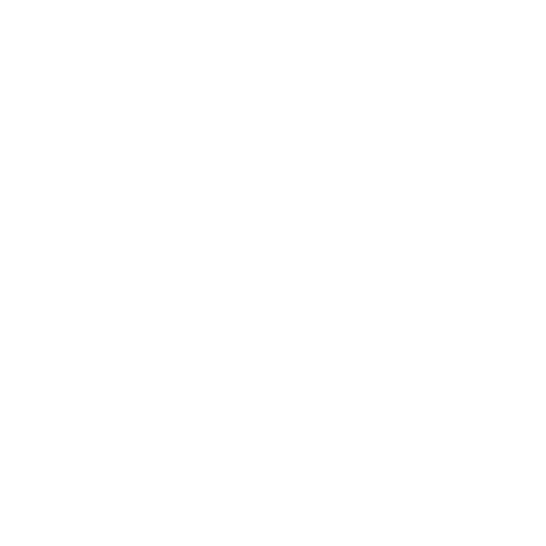 Access to Government Partnerships and Funding Opportunities