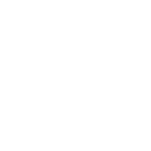 Demonstrate Leadership in Diversity and Inclusion